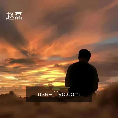 赵磊